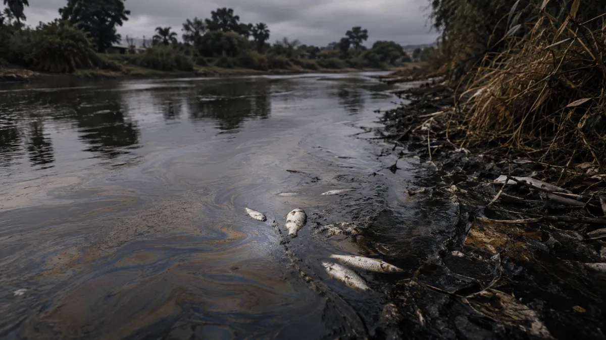 With oil in the water